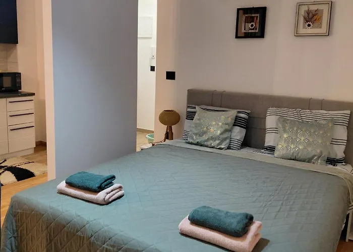 Dragonvb * Vrnjačka Banja